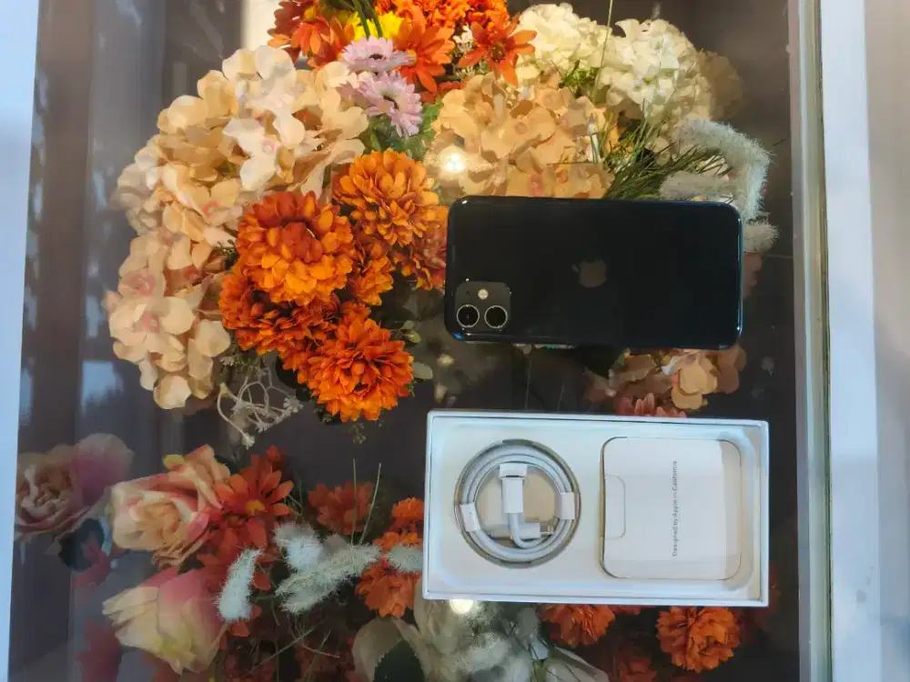 Iphone 11 256gb semestinya baru