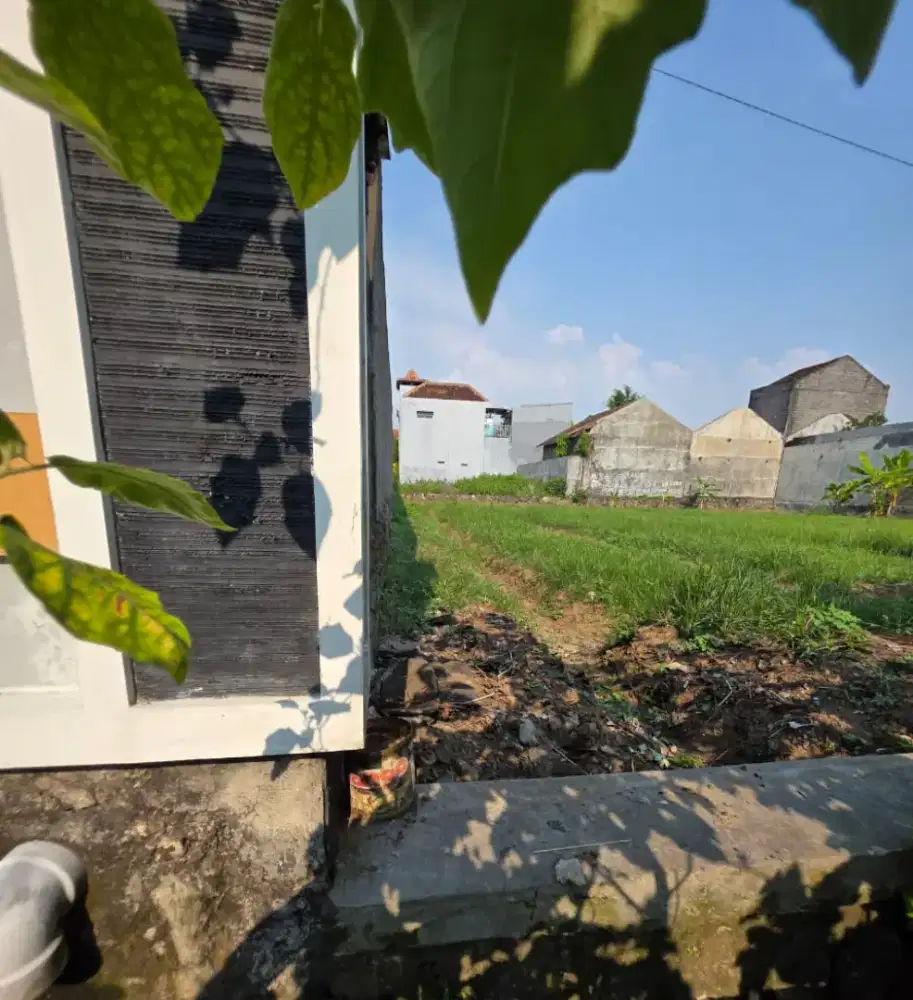 Tanah Pekarangan Status Kering SHM