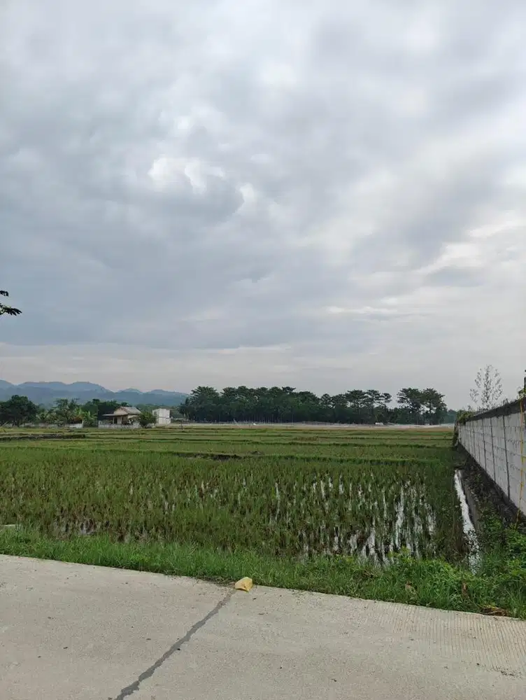 Jual Tanah SHM daerah cileungsi desa bojong