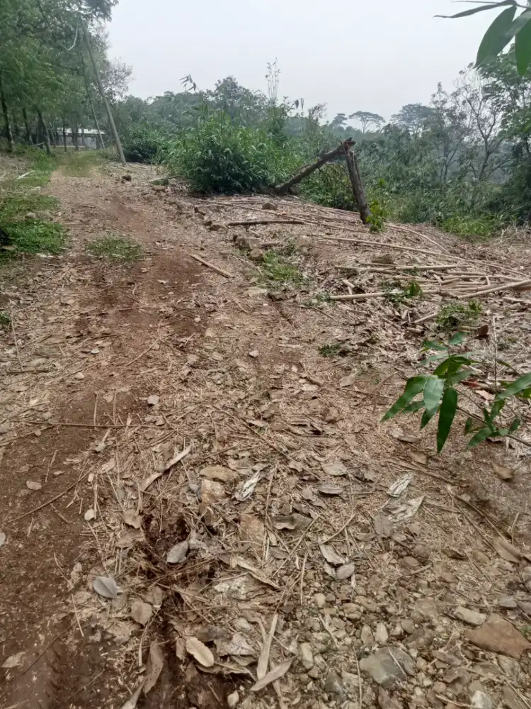 Di jual murah lhan tanah darat lt 3 H pruntukan trnak ayam