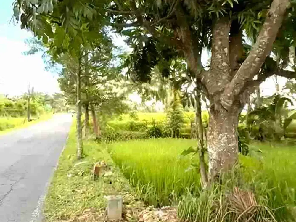 tanah pinggir jalan raya Kaliurang KM 19 cocok usaha