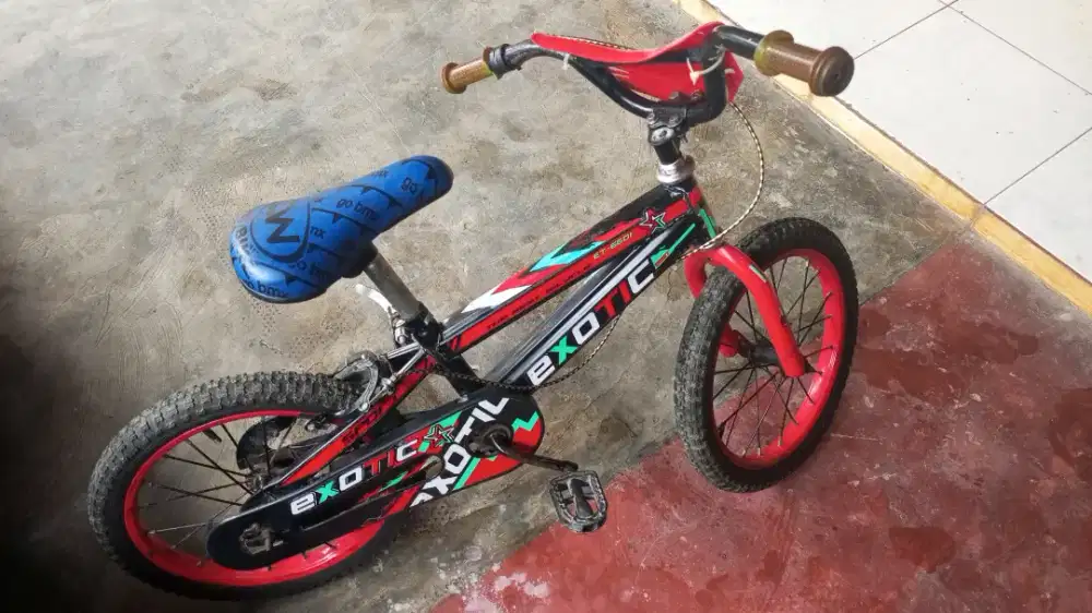 Sepeda anak mereka exotic