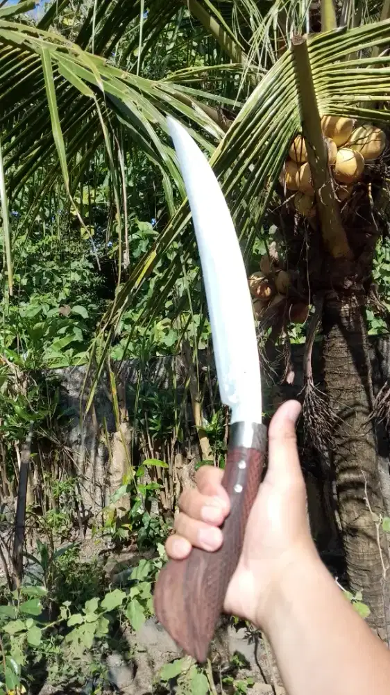 Parang melengkung kuku macam
