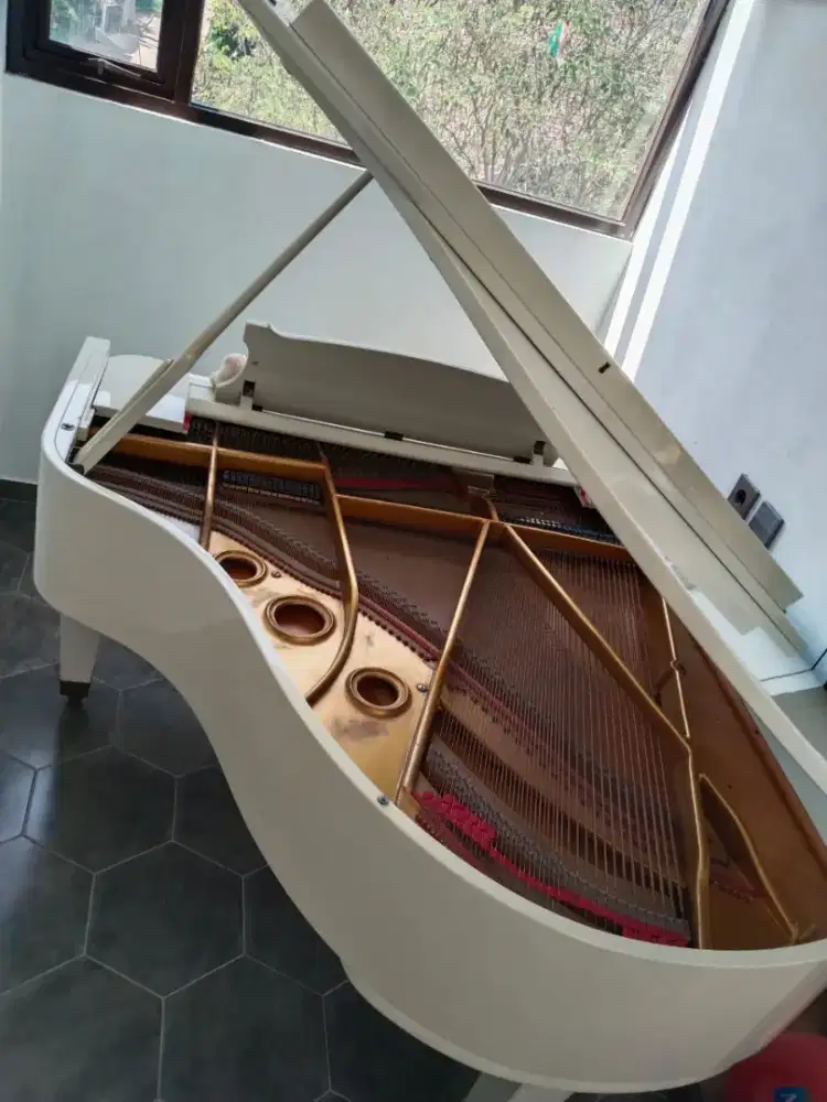 Grand Piano Steinbach mirip Yamaha G2