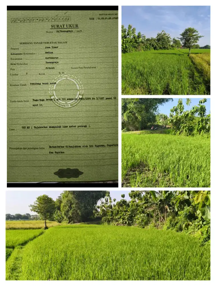DIJUAL CEPAT! SAWAH SHM PRODUKTIF – TAWANGREJO KOTA MADIUN