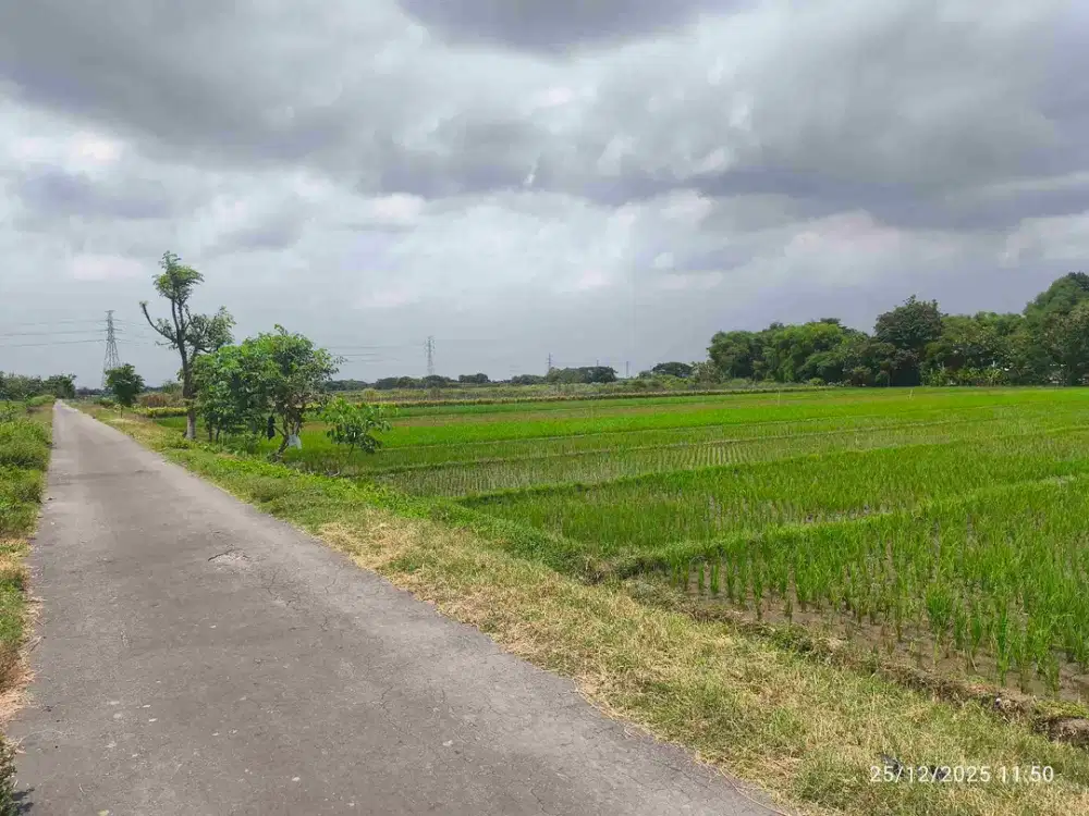 TANAH WONOSARI KLATEN  MURAH STRATEGIS