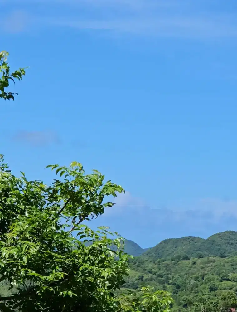 Freehold Hillside Land with Sea View (PRABU)