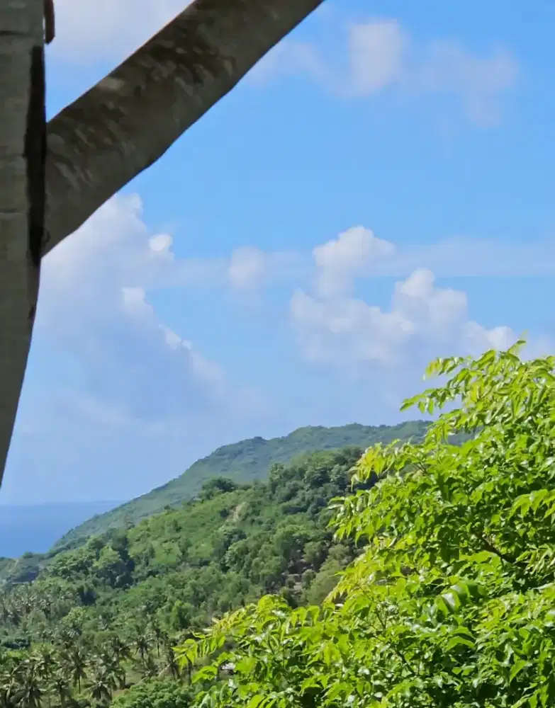 Freehold Hillside Land with Sea View (PRABU)