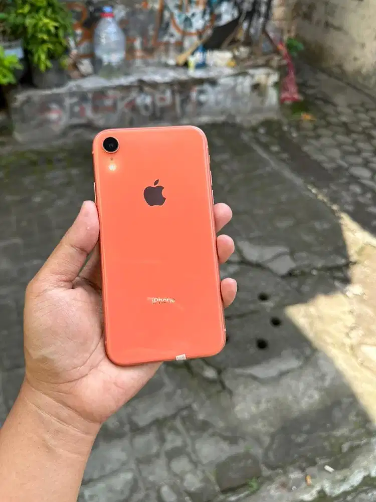 iphone xr 128 regis