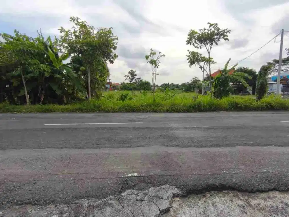 Di kontrakan tanah jalan utama Waribang , Denpasar, Bali