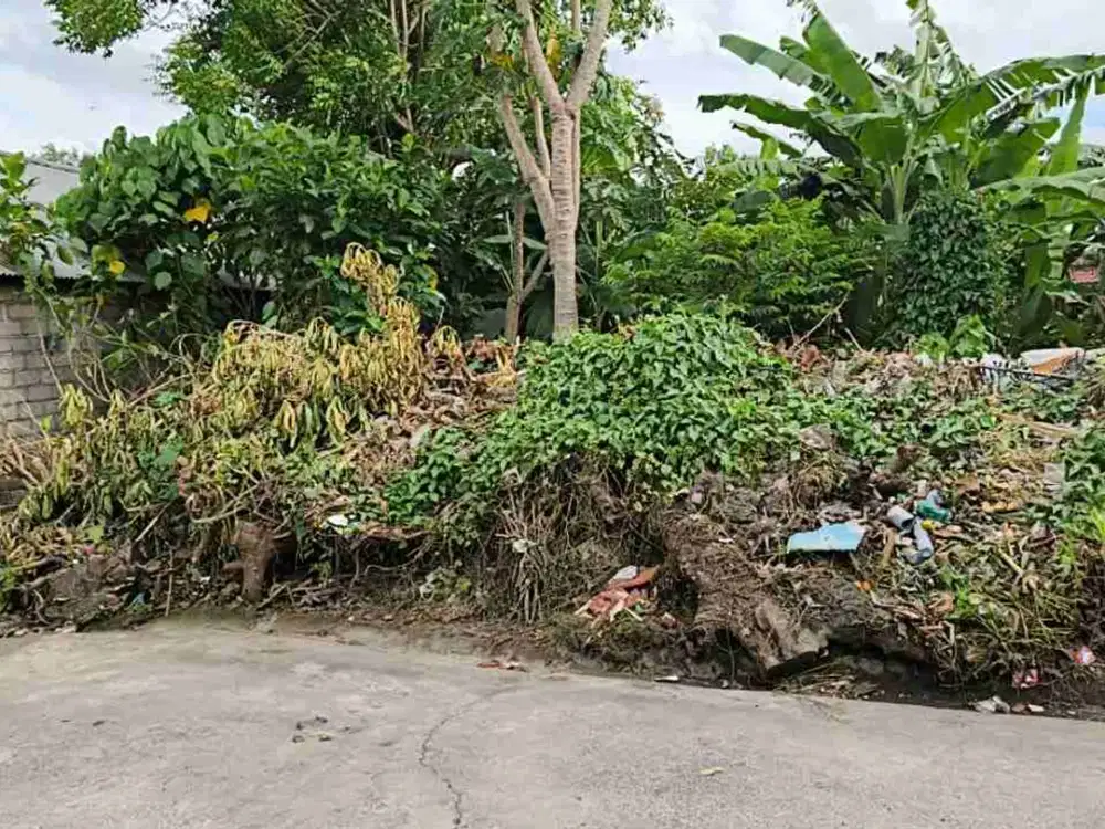Di jual tanah jalan Siulan , Kesiman, Denpasar, Bali