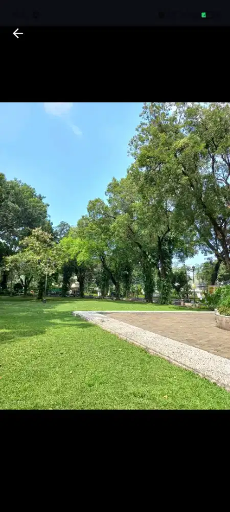 Tukang kebun dan rumput