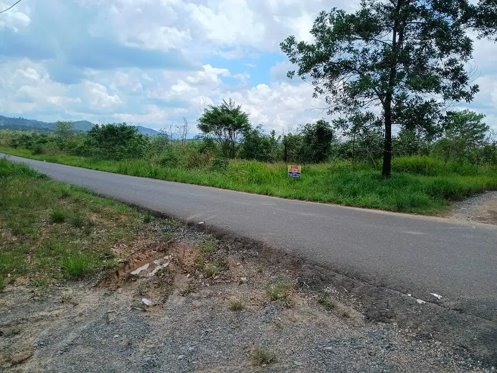 Dijual murah tanah kebun