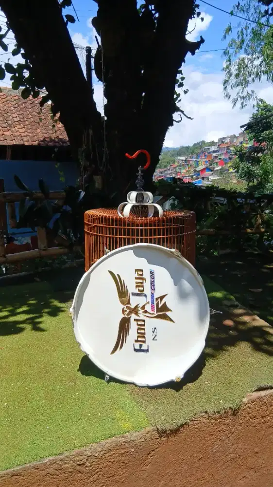 Sangakar bulat murai no 2