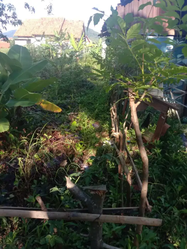 Dijual Tanah Pekarangan