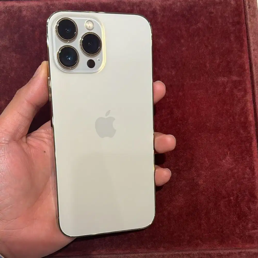 iphone 13 pro max 256 Digimap