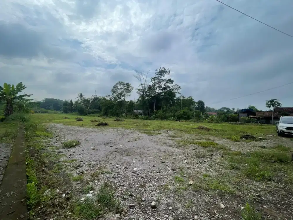 Tanah SHM Produktif untuk Homestay di Utara Jogja