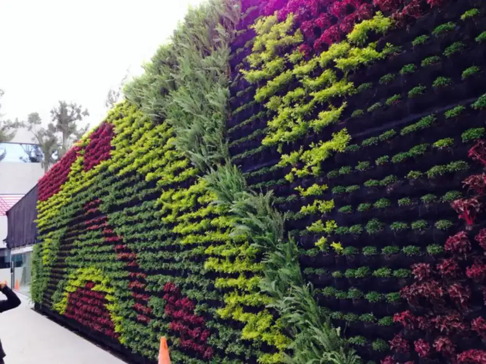 Jasa pembuatan Taman vertical taman Korea taman Kering dll #16