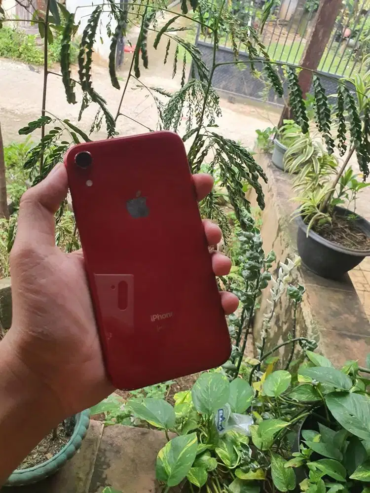 Iphone xr 256gb all op