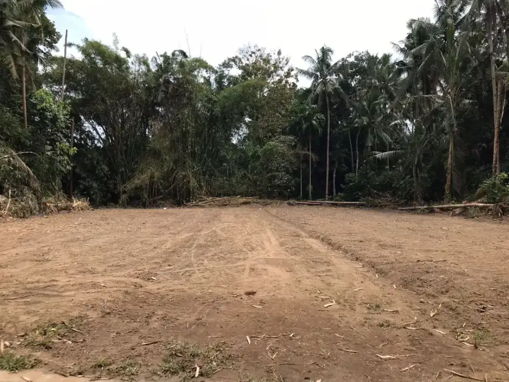 Tanah Murah Dekat Jl Magelang, Sisa 2 Menit Terakhir