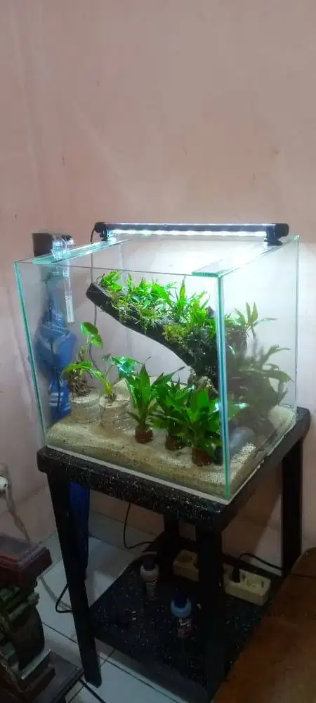 Aquascape 40x35x35 fulset
