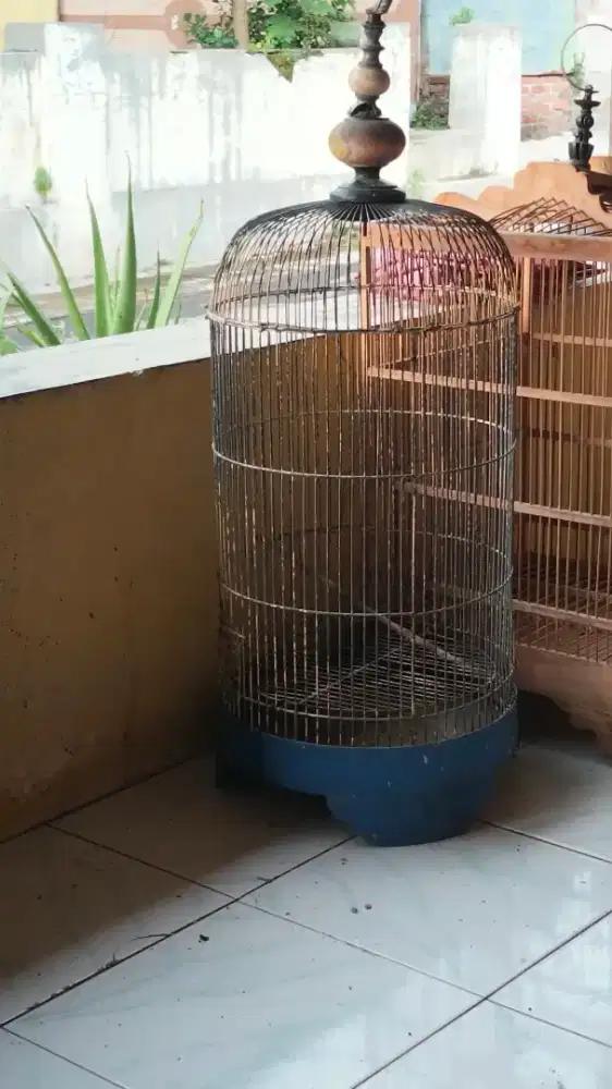 Kandang burung kenari