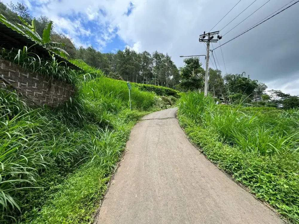 Dijual Cepat Tanah Poros Jalan di Gunungsari Bumiaji Harga Murah