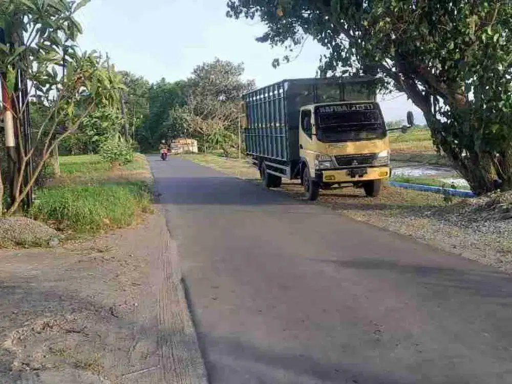 Dijual sawah murah di dusun lor wonsari klaten