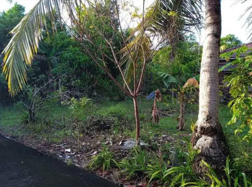 DIJUAL TANAH KOSONG (DIJUAL CEPAT)