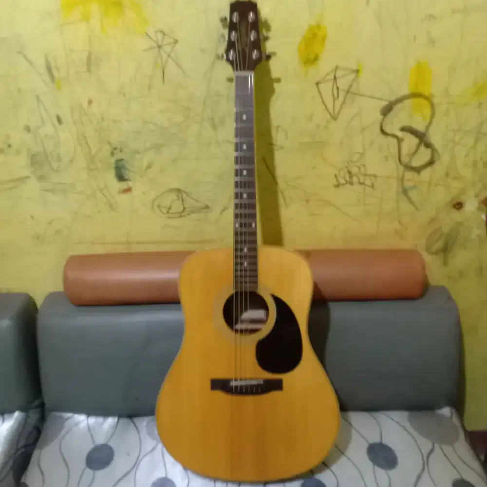 Gitar Segovia D 07 GN , akustick electrik