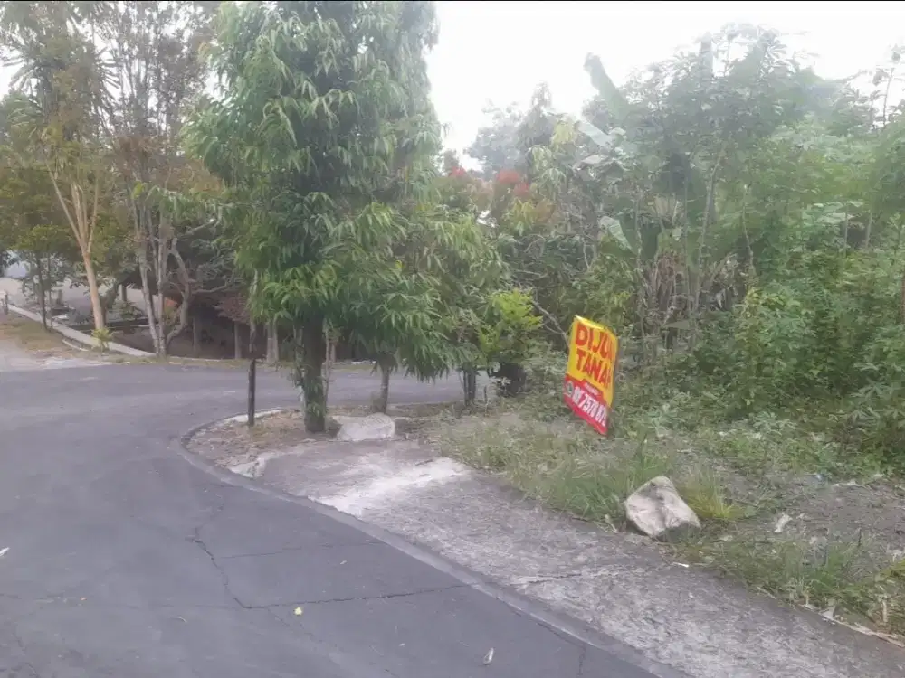 Tanah di Dayu Kalioso