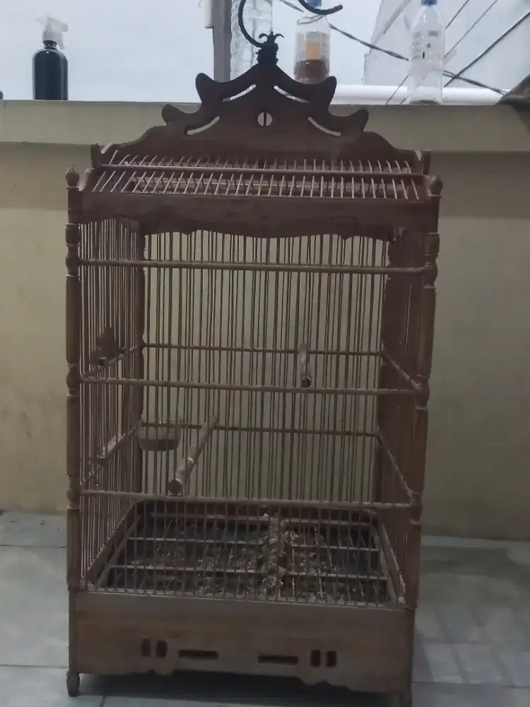 Kandang no 1  masih layak