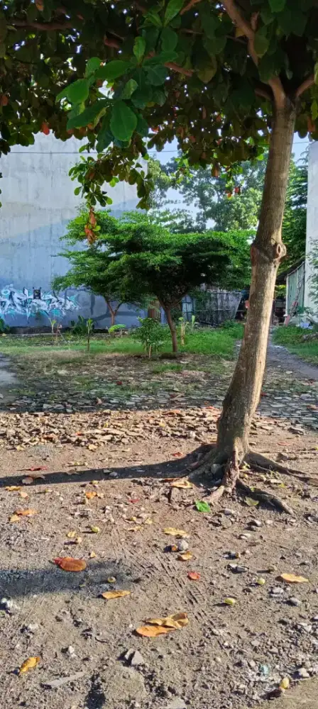 Dijual 2 bidang tanah, total luas 330 m2