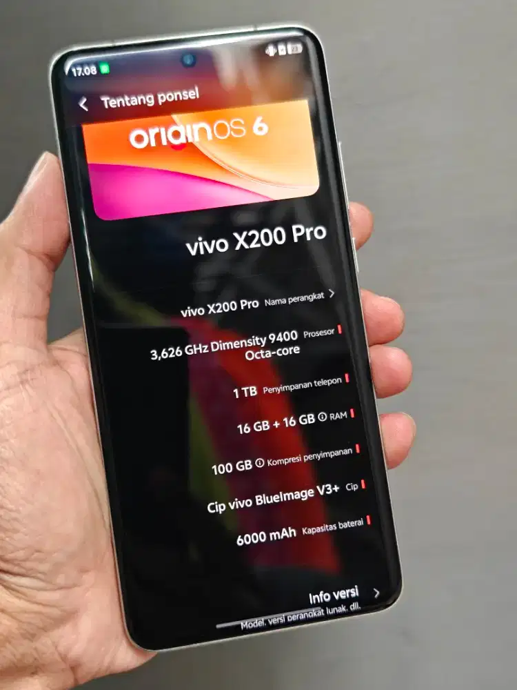 vivo X200 pro 16/1Tb mulus