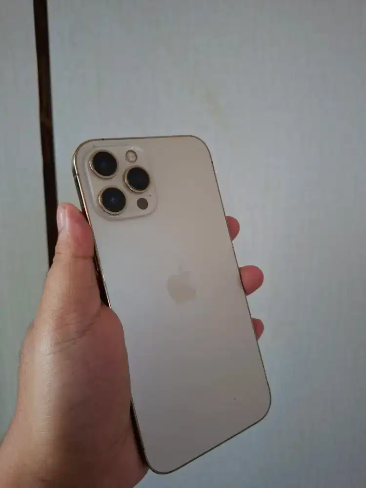 Iphone 12 Pro Max 256GB Murahhh