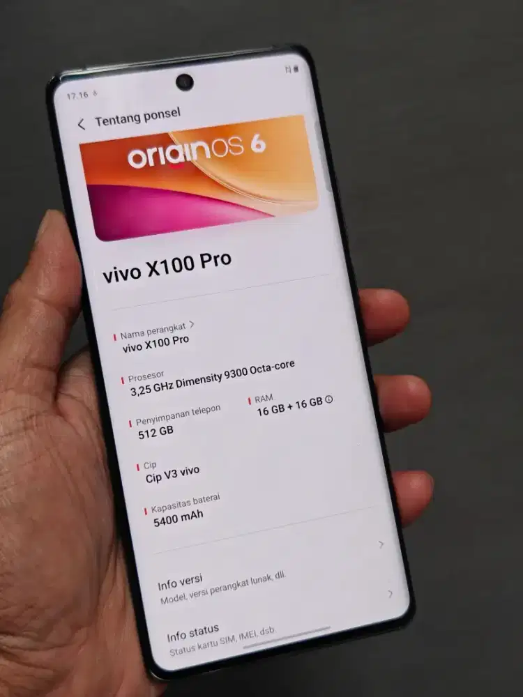 vivo X100 pro 16/512 mulus