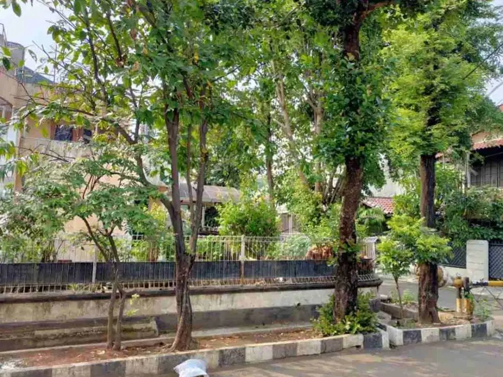 JUAL CEPAT RUMAH TUA 2 LANTAI HOEK PULO NANGKA TIMUR 4 LANTAI MASIH LAYAK HUNI PD