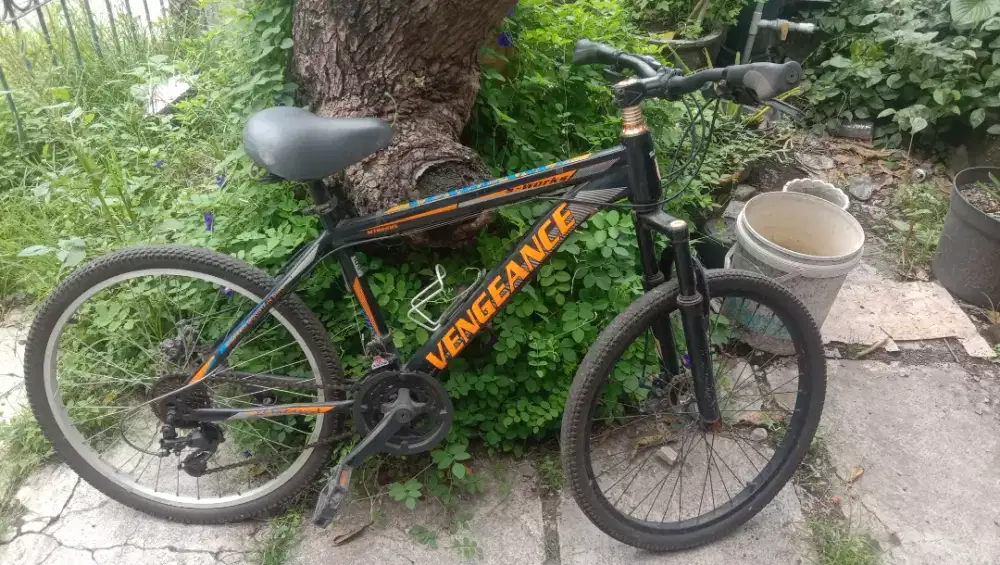 Mountain Bicycle, Sakoni Vengeance S-Work