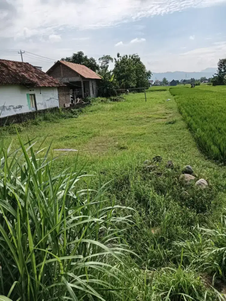Dijual tanah pekarangan di Sleman