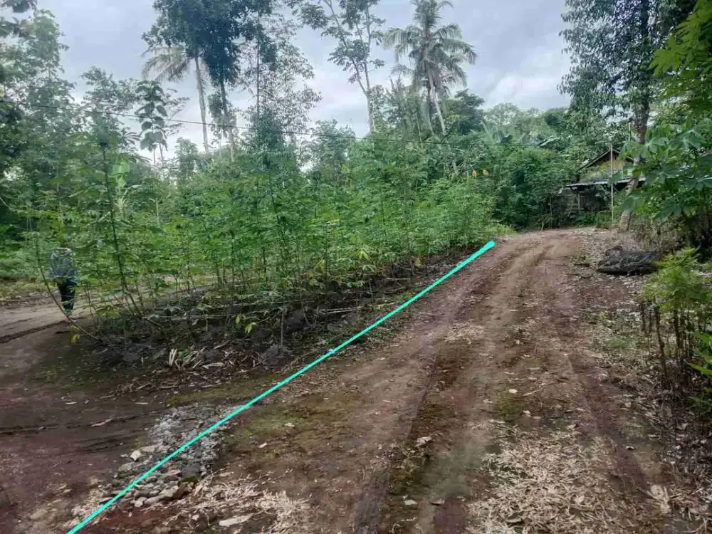 Cocok di kavling Tanah murah sedayu dekat jembatan Bantar.
