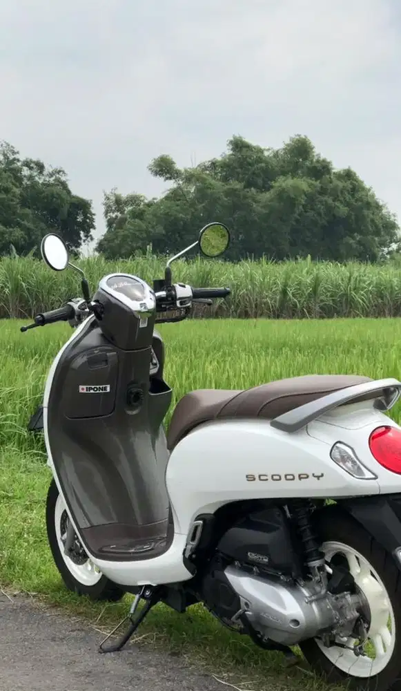 Scoopy Prestige 2024