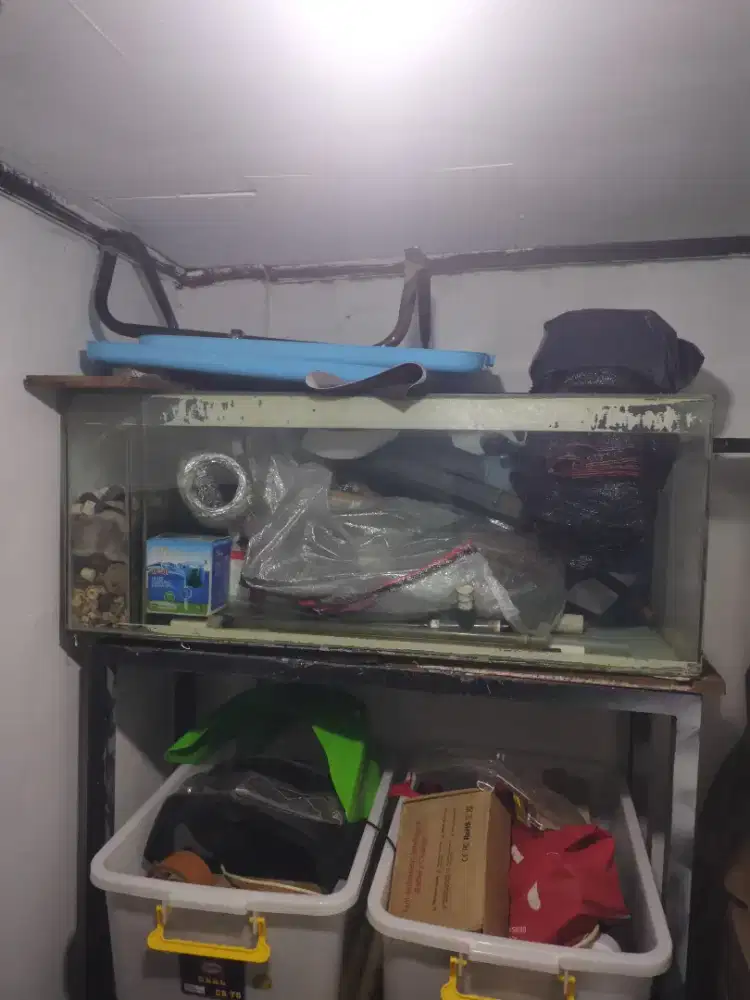 aquarium uk 100x40x40