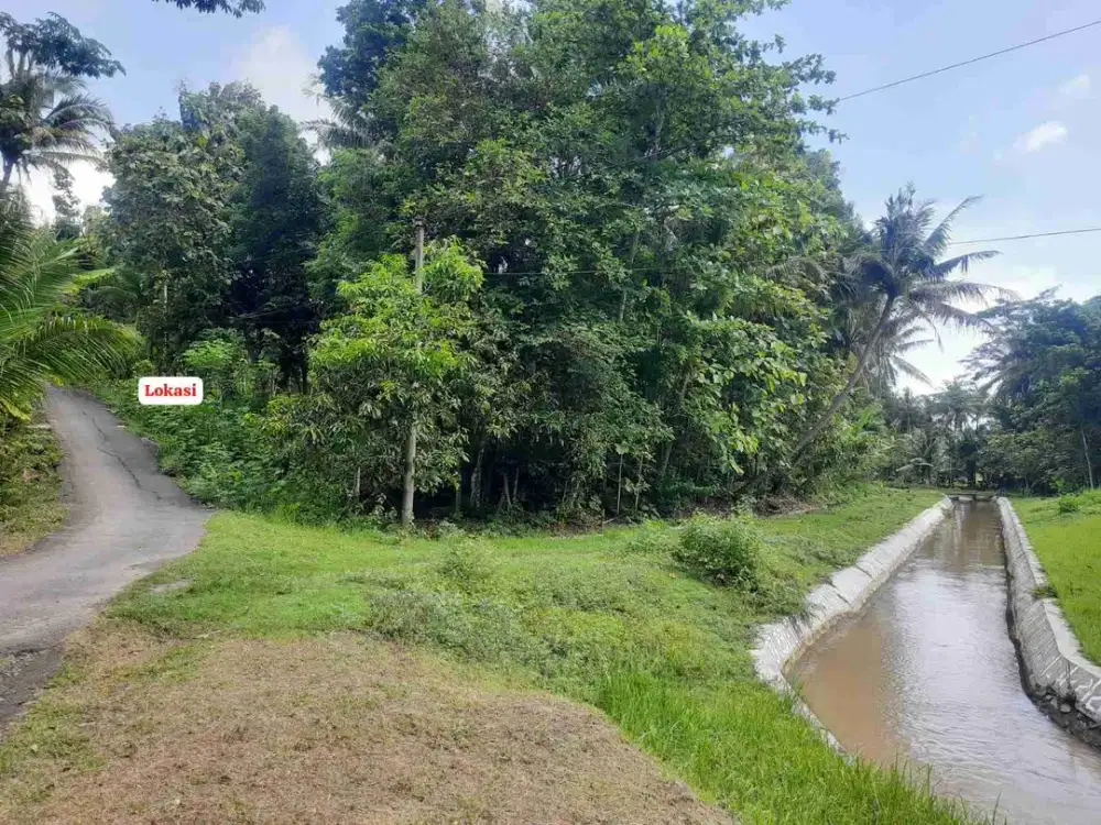 Tanah asri dekat irigasi cocok untuk hunian maupun perkebunan