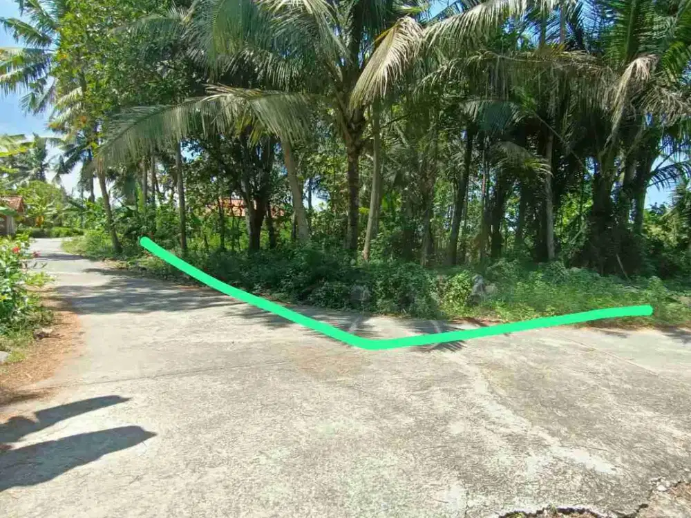 Tana Murah dekat Bandara YIA cocok dibangun rumah dan investasi.