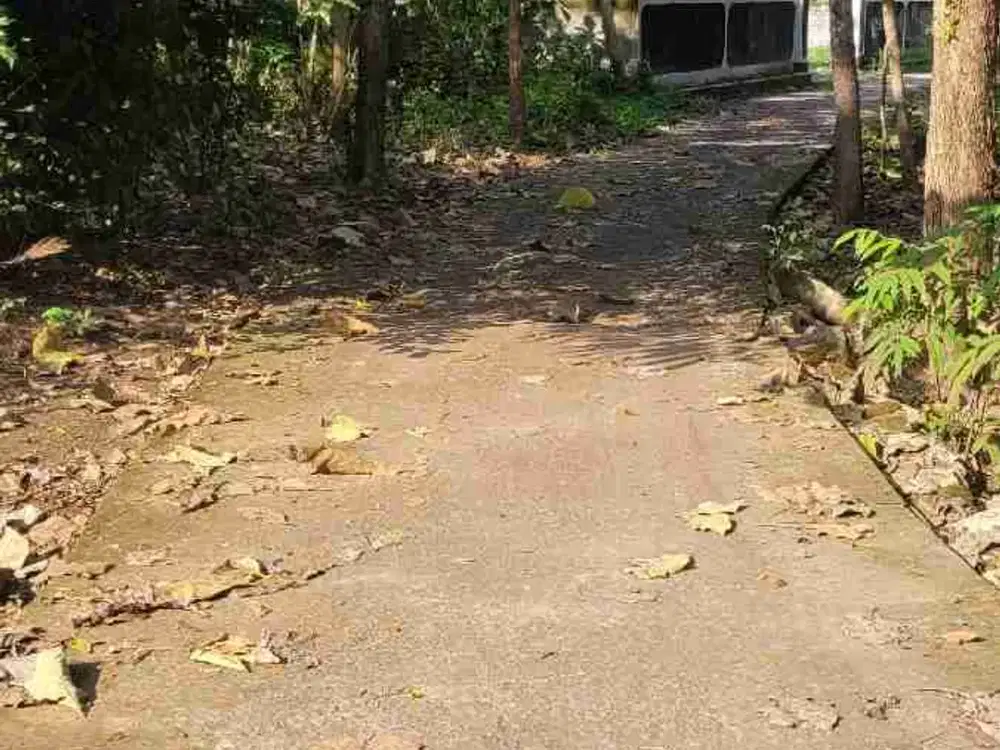 Tanah Murah 5 menit kota wates cocok dibangun kost.