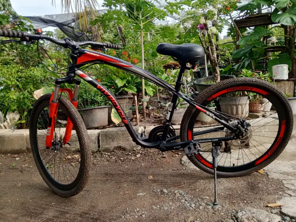 Sepeda gunung dewasa