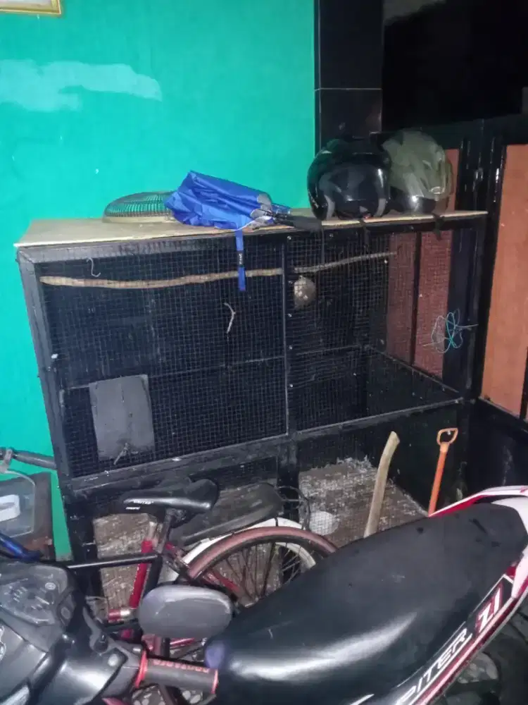 Aquarium dan kandang