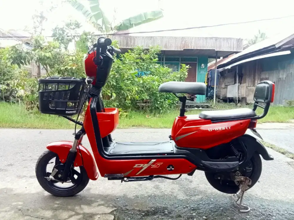 Sepeda listrik Uwinfly DF 5