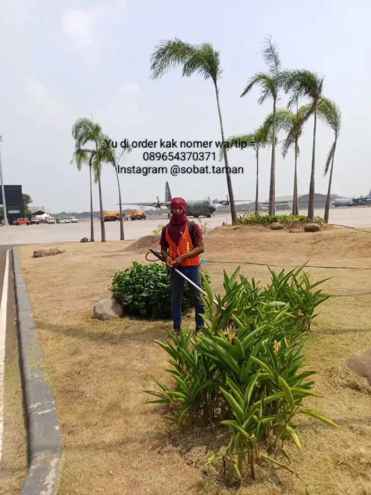 Babat rumput/ Babat lahan