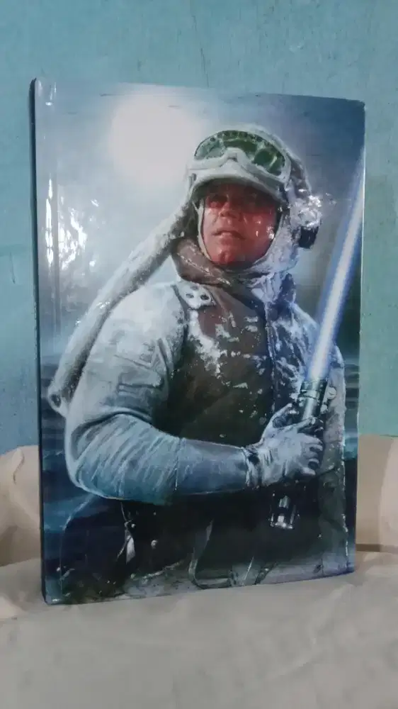 Novel import starwars scolastic book press